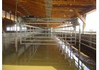 Mid Valley - Holding Area Crowd Gates for Cows