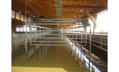 Mid Valley - Holding Area Crowd Gates for Cows