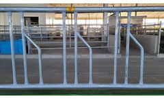Mid Valley - Model CSTS - Cow Stanchion