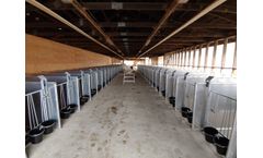Mid Valley - Model EZ - Tilt Calf Pen Systems