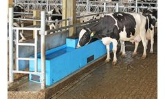 Mid Valley - Model Miraco - Cattle Water Troughs