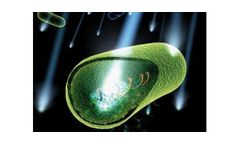 UV Light Disinfection