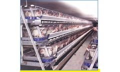 FDI - A-Frame Layer Cages