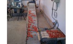 FDI - Egg Conveyor