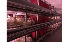 FDI Enriched - Condo Layer Unit