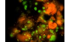 Nitri-VIT® - Fast and Reliable Detection of Nitrifying Bacteria