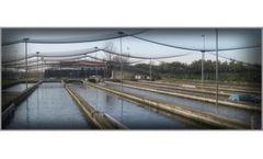 Azienda - Fishing Plants