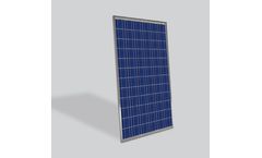 Novergy - Poly Crystalline Monocrystalline Solar Panel (72 Cells) (300Wp to 350Wp)