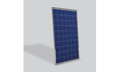 Novergy - Poly Crystalline Monocrystalline Solar Panel (60 Cells) (250Wp to 295Wp)