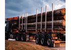 Logo - Long and Short Timber Semi Trailer