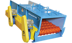 Brunette - Disc Scalping Screen