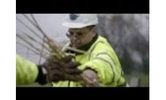 Oregon Brand - Who we are Video