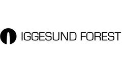 Sustainability at Iggesund: A key factor in all decisions