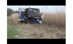 Peterson Portable Sawmill Cuts a Log in Less than 10 Minutes Video