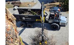 Forest Management Solutions for Peri-Urban Forestry