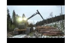 MVI 1900 Video