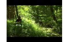 ETESIA Attila Family 2013 - Brushcutters Video