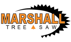 Large Tree Removal - Case Study