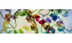 Amino - Proteins Acids