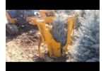 Dutchman Potter - Video