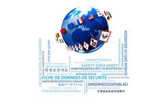 InfoDyne - Language Modules