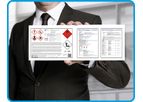 InfoDyne - Consulting Service