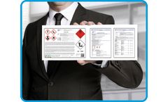 InfoDyne - Consulting Service