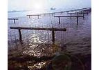 Tenax - Lightweight and Strong Clam Netting