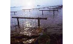 Tenax - Lightweight and Strong Clam Netting