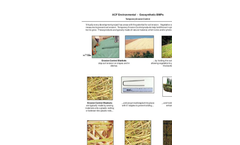 Ferguson - Model Presto GEOWEB - Geocell - Brochure