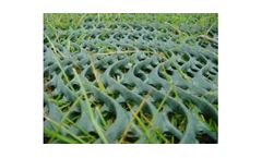 GrassProtecta - Grass Reinforcement Mesh