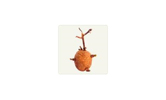 SeedGuard - Seeds