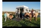 Tour the Horse Part of the Featherlite Model 9821 Living Quarters Horse Trailer Video