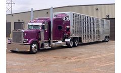 Eagle - Punch Side Trailer
