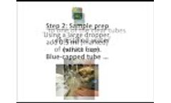 Using NTK Dry Forage from NECi Superior Enzymes On site Test Kit - Video