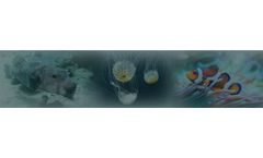 Nitrate and phosphate analysis for aquaculture