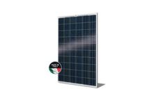 Invent - Model QHP - Photovoltaic Module