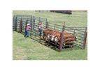 W-W - Model EZ DUZ IT - Cattle Handling System