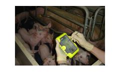 BIO-PIG - Pocket Software
