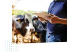 FarmWizard - Simple Dairy Herd Management Software