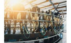 FarmWizard - Dairy Manager Software for Effective Herd Management