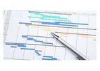 Project Management Services