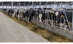 HMI - Industrial Grade Headlock Mounting Hardware