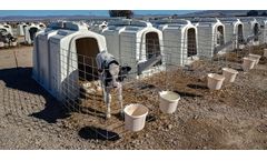 HMI - Calf Hutches