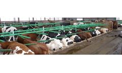 GreenStall - Easy Solutions for Animal Welfare and Farmers Earnings