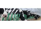 Flexible Green Feeding