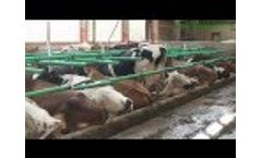 043 GreenStall Easy Video