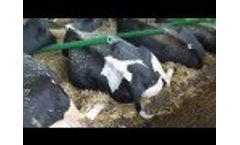 041 GreenStall Easy Video