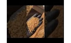 Wheat Cleaning Spring 2020 Video