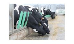 Flexible Cow Feeding Fence